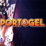Top reasons The reason Portogel Is usually Developing Focus with 2025
